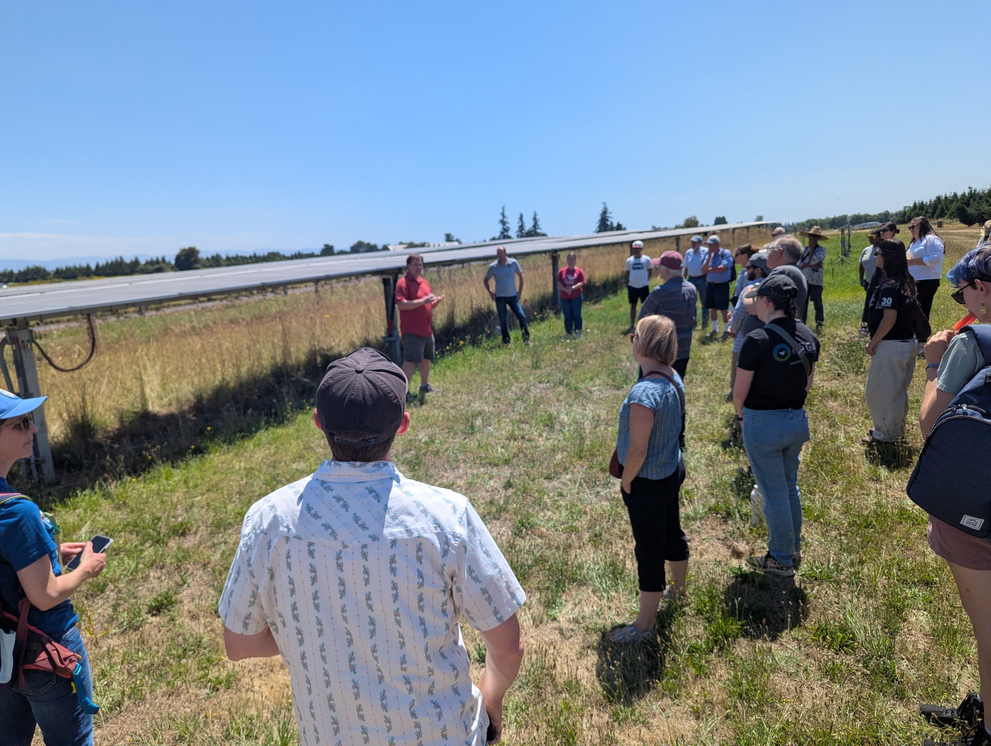 A crowd of farmers and researchers listening to a speaker between rows of solar panels