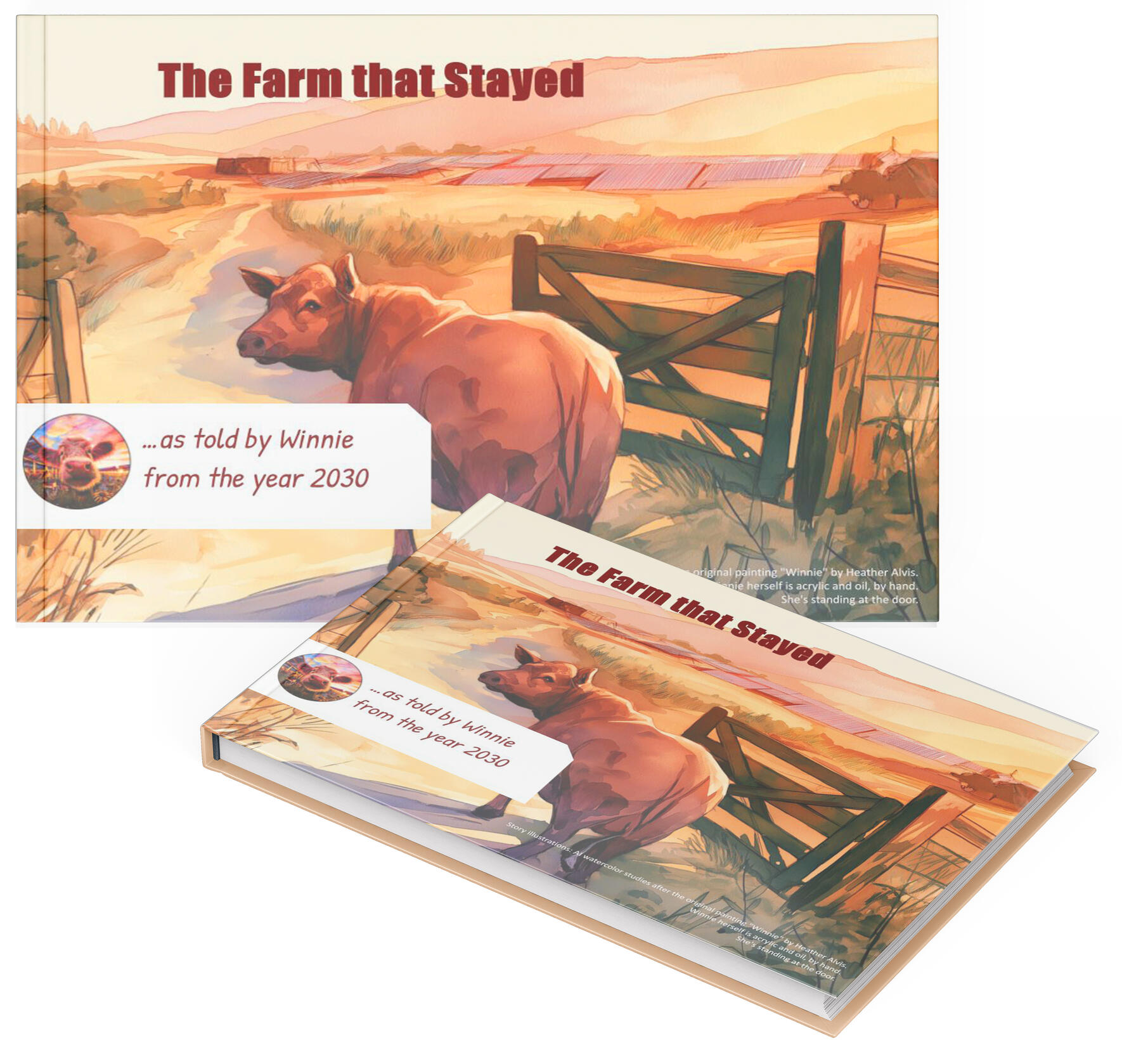 How a New Farm-Centric Decision Tool Made a Difference